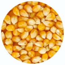 Зерно кукуруза, 25 кг.